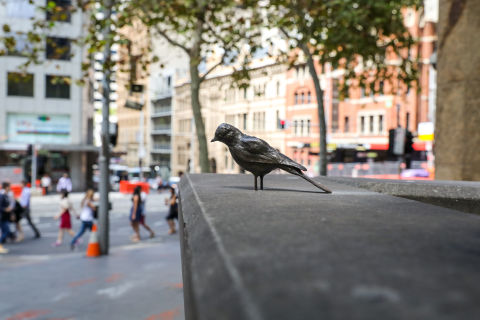 Bridge Street, Sydney - 12th March 2018. Installation of public artwork The Distance of your Heart. The City of Sydney commissioned artwork is made up of over 60 delicate handmade bronze bird sculptures designed by acclaimed British artist Tracey Emin. (Photo by Katherine Griffiths/City of Sydney).