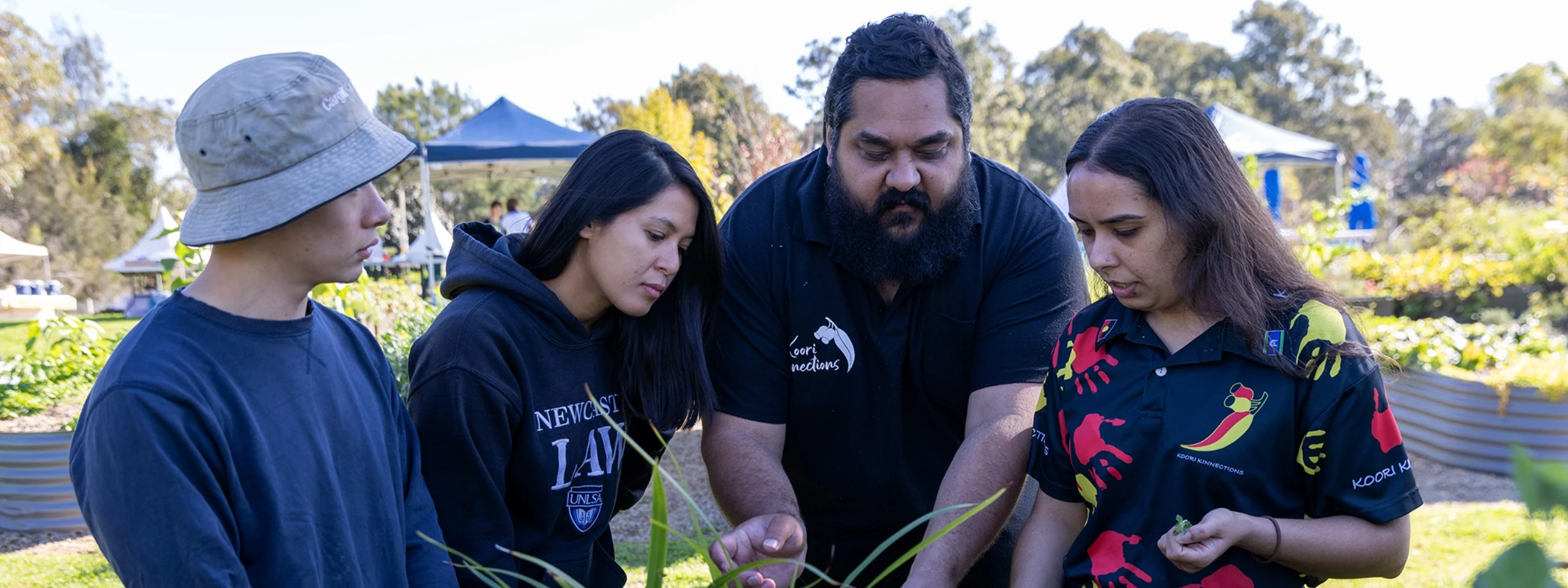 Bush food discovery tour at Sydney City Farm