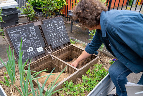 Worm farms are great if you have a smaller backyard, terrace or balcony.