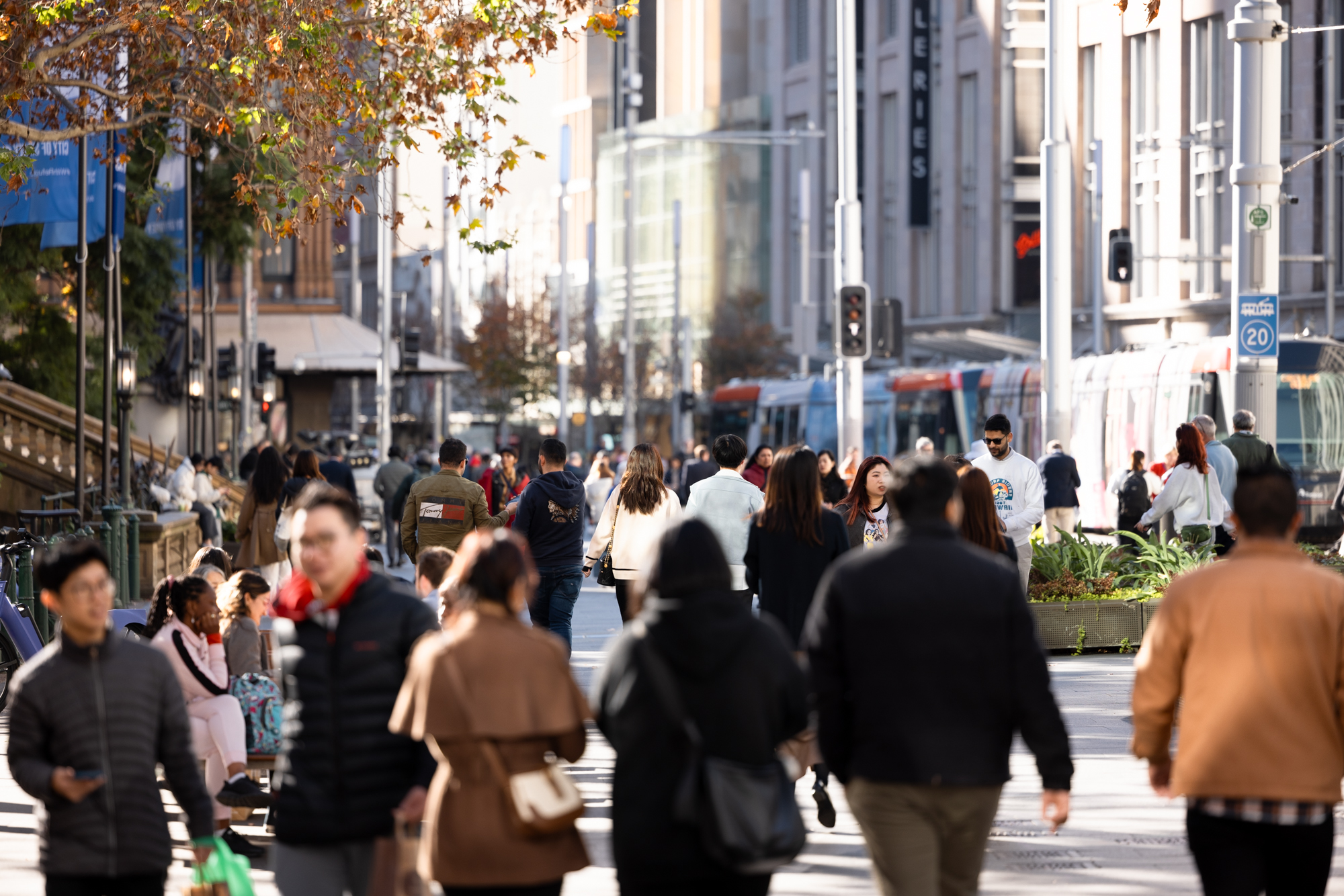 By 2036 the city centre could have 100,000 new jobs. Photo: Chris Southwood, City of Sydney.