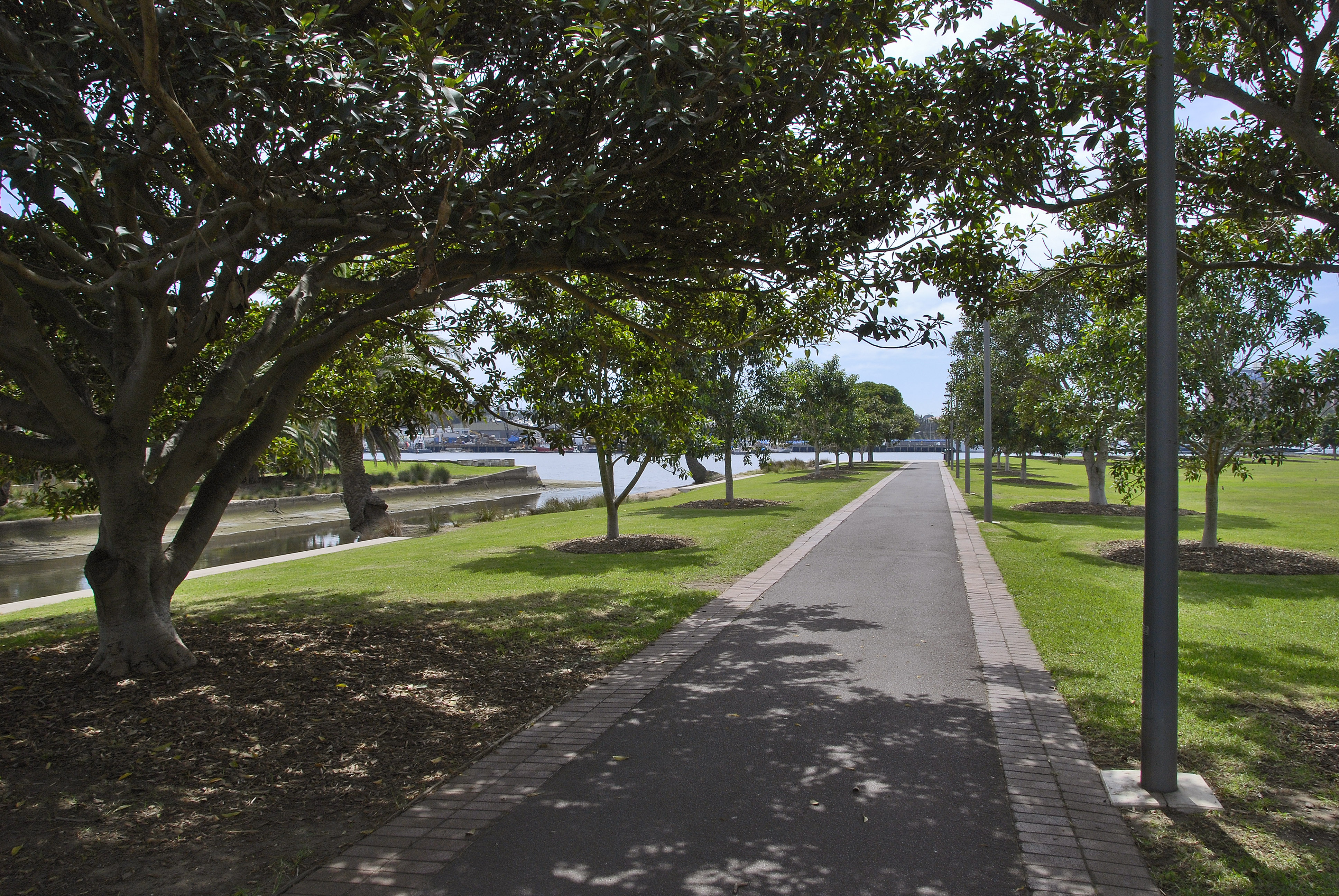 Bicentennial Park. Photo Paul Patterson / City of Sydney 