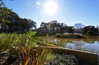 A sunlit park with a pond surrounded by greenery and trees. The sun shines brightly in the clear blue sky, reflecting on the water.