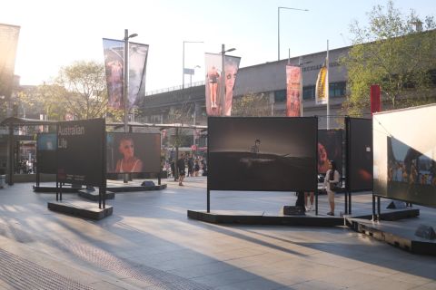 The Australian Life exhibition is now on display at Customs House Square. Photo: Chris Southwood/City of Sydney 