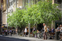 People stand and walk along a city street lined with green trees, bicycles, and benches; tram tracks run in the foreground on a sunny day.