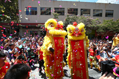 Chinatown lions