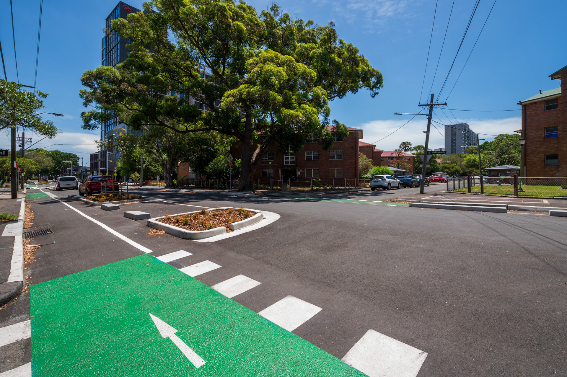 Wellington Street cycleway in Waterloo. Image: Will Jones/City of Sydney