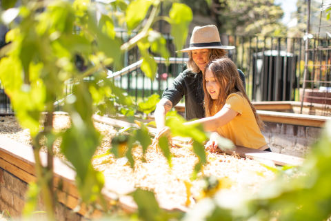 Children are keen contributors to the thriving Charlie&#39;s Garden. Credit: Mark Metcalfe
