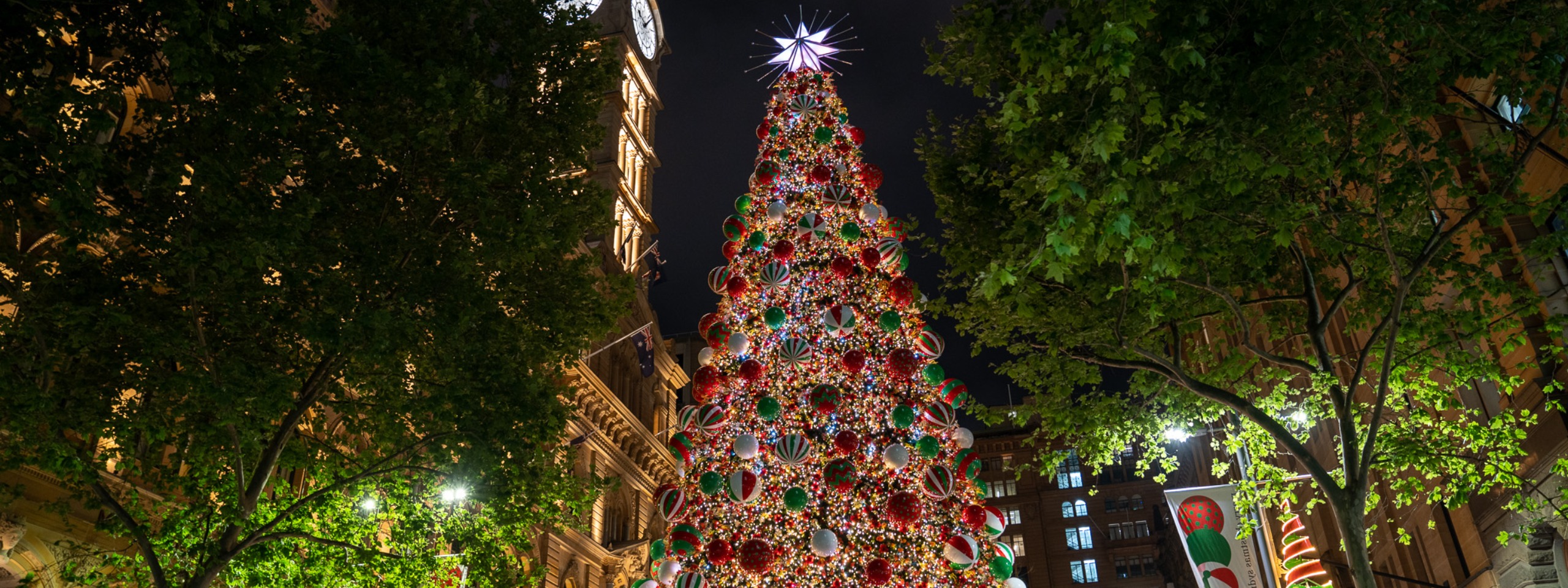 Martin Place Christmas tree