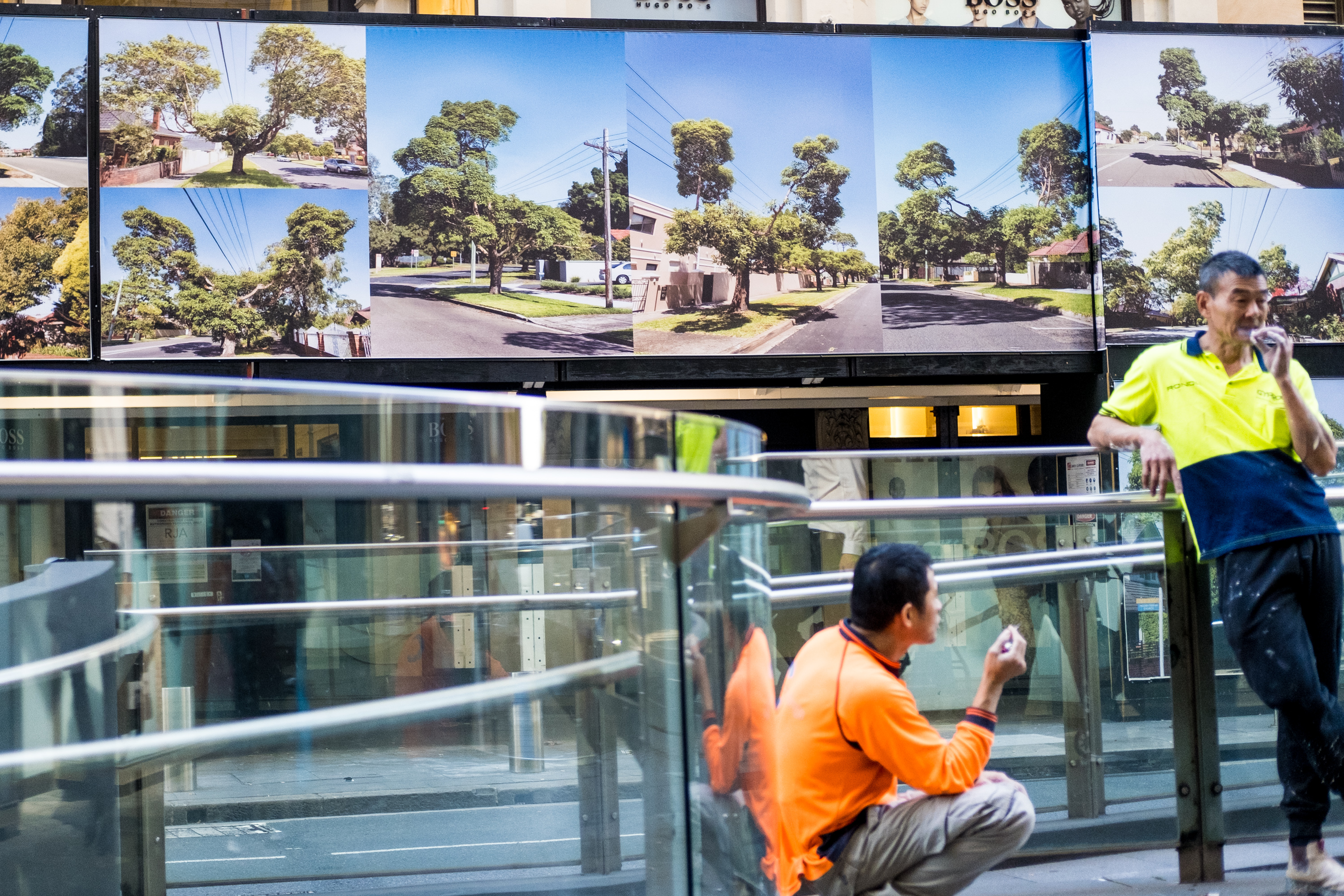 Giant Bonsai by Garry Trinh. Photo: Chris Southwood / City of Sydney