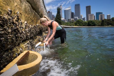 Marine ecologist Rebecca Morris checks seawall pots at Farm Cove.