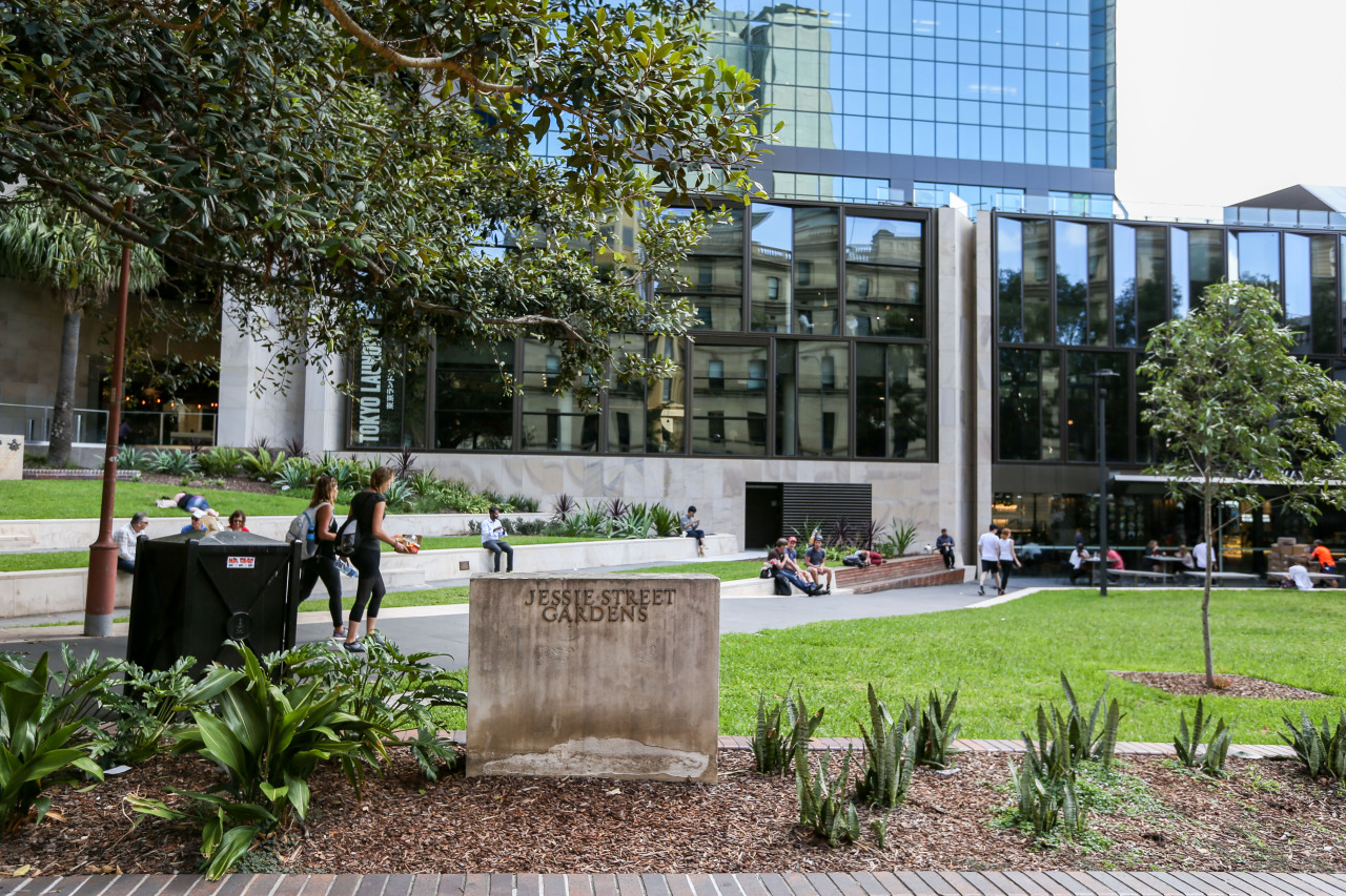 Jessie Street Gardens. Image: Katherine Griffiths, City of Sydney