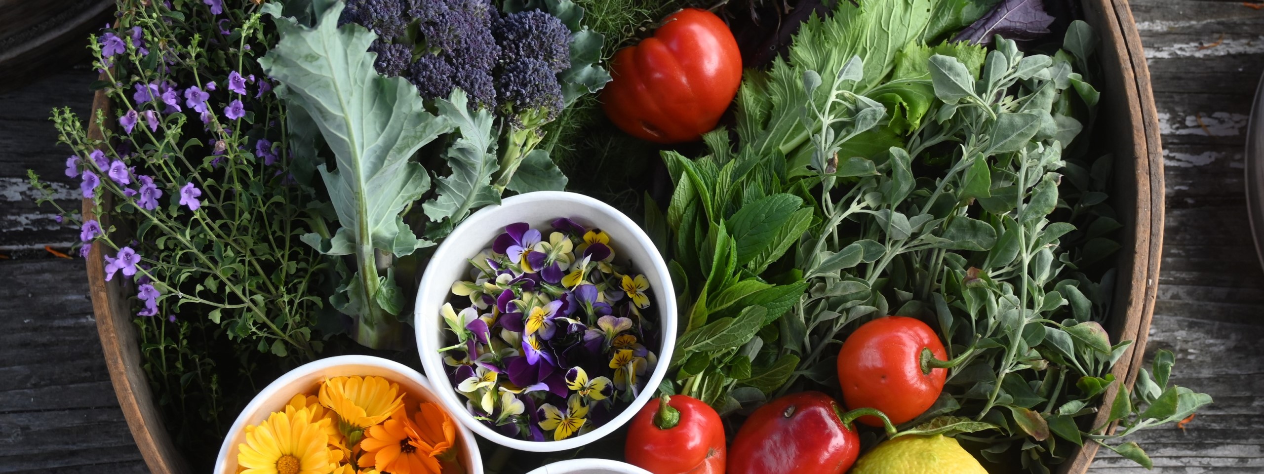 Enjoy a guided tour of Sydney City Farm and discover herbs, veggies, flowers and fruits ready for harvest