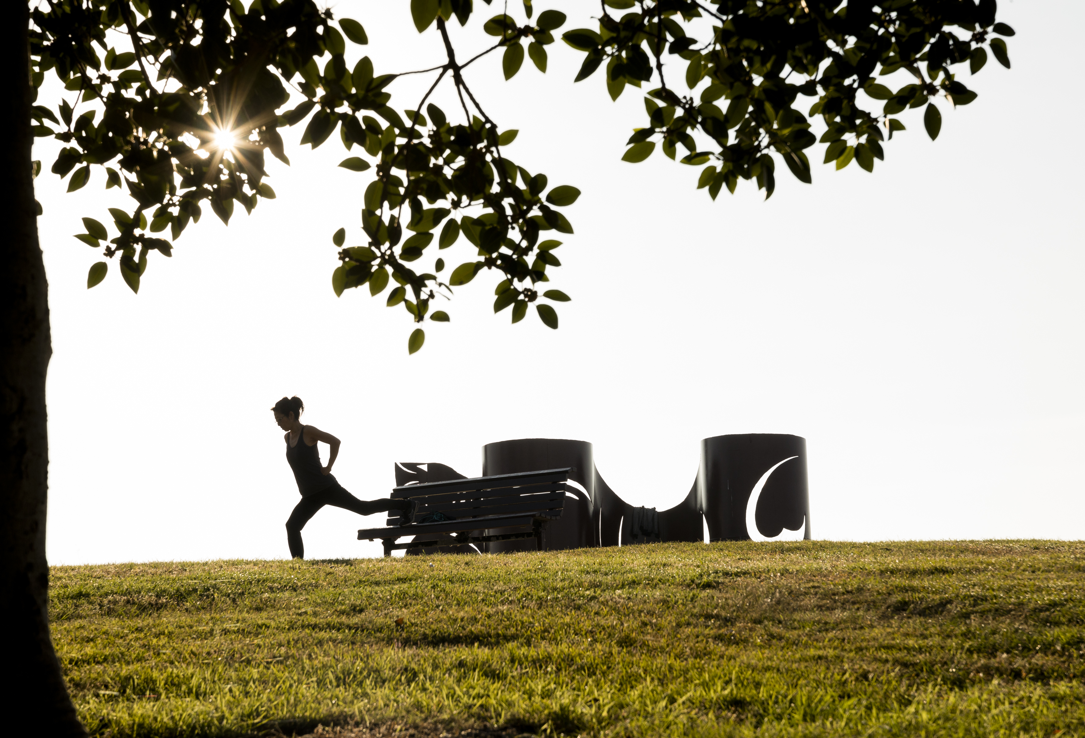 The grassy slopes and shared paths of Sydney Park provide plenty of opportunities for exercise.