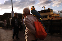 Man with his parrot
