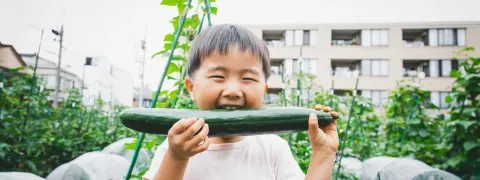 Learn about fresh food, get involved in workshops and take home a pot plant at Sydney Farm, an urban farm in St Peters.