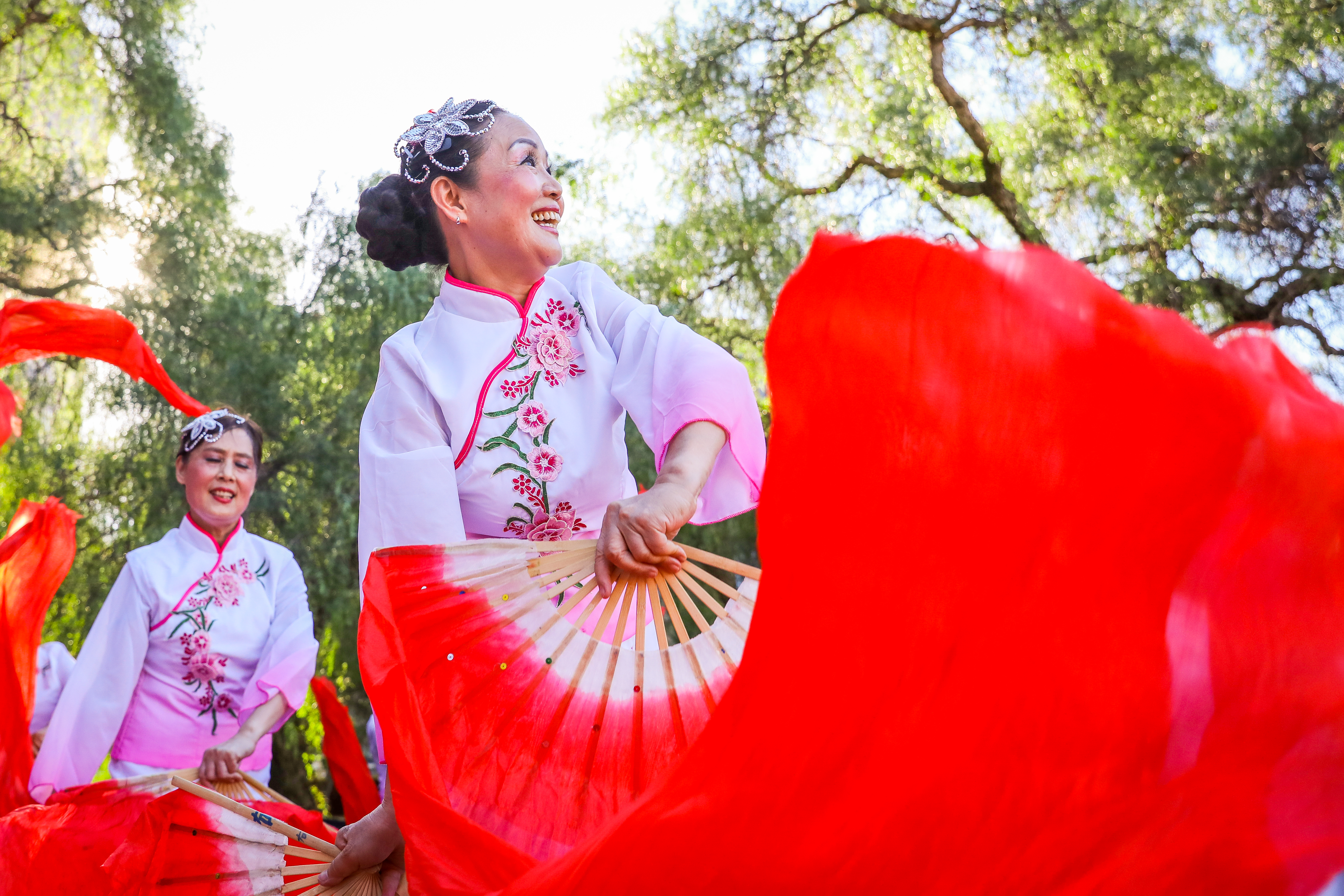 More community groups than ever before will share a taste of their cultures at the Lunar Spectacular Show