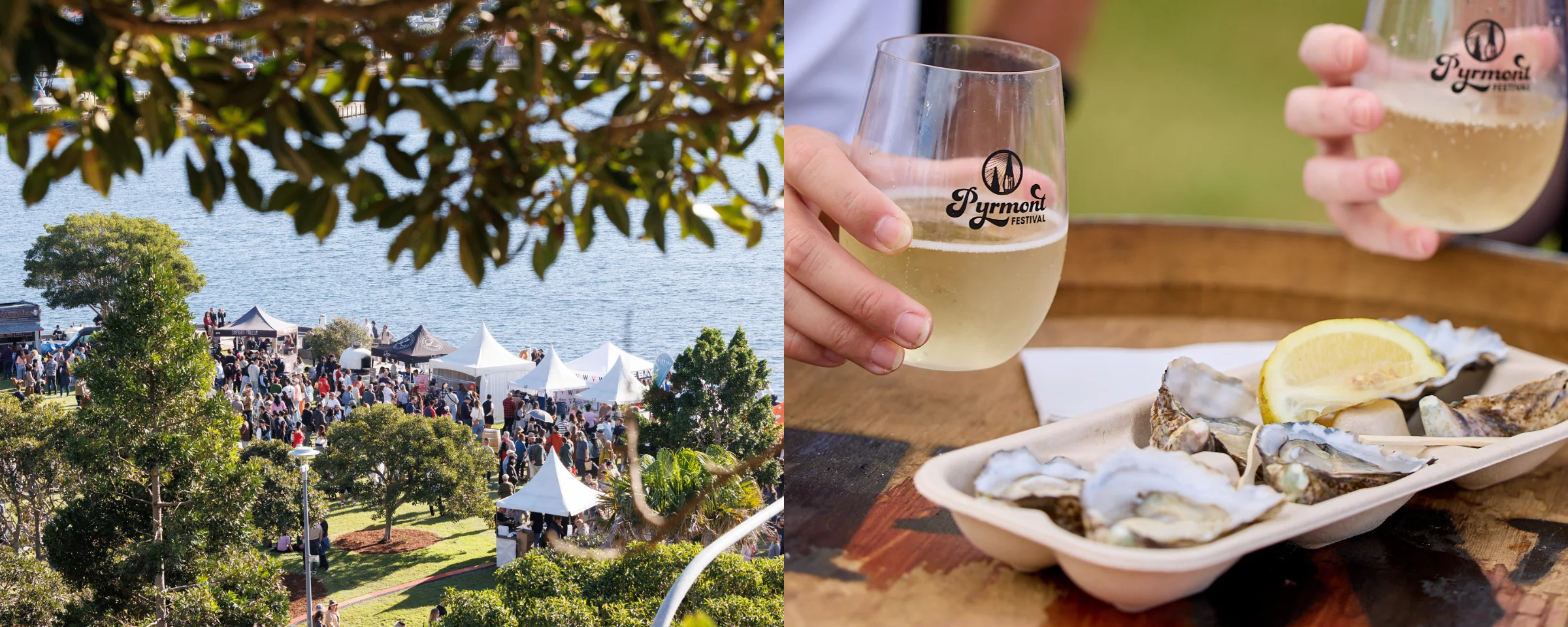 Pyrmont Food and Wine Festival