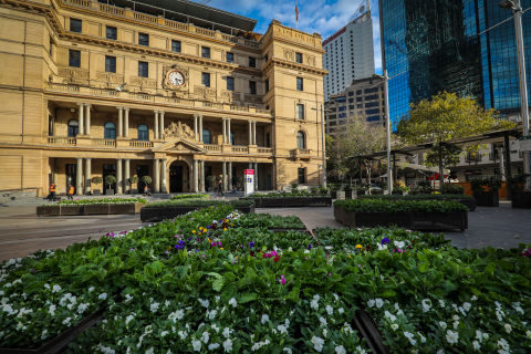 Flowers at Customs House