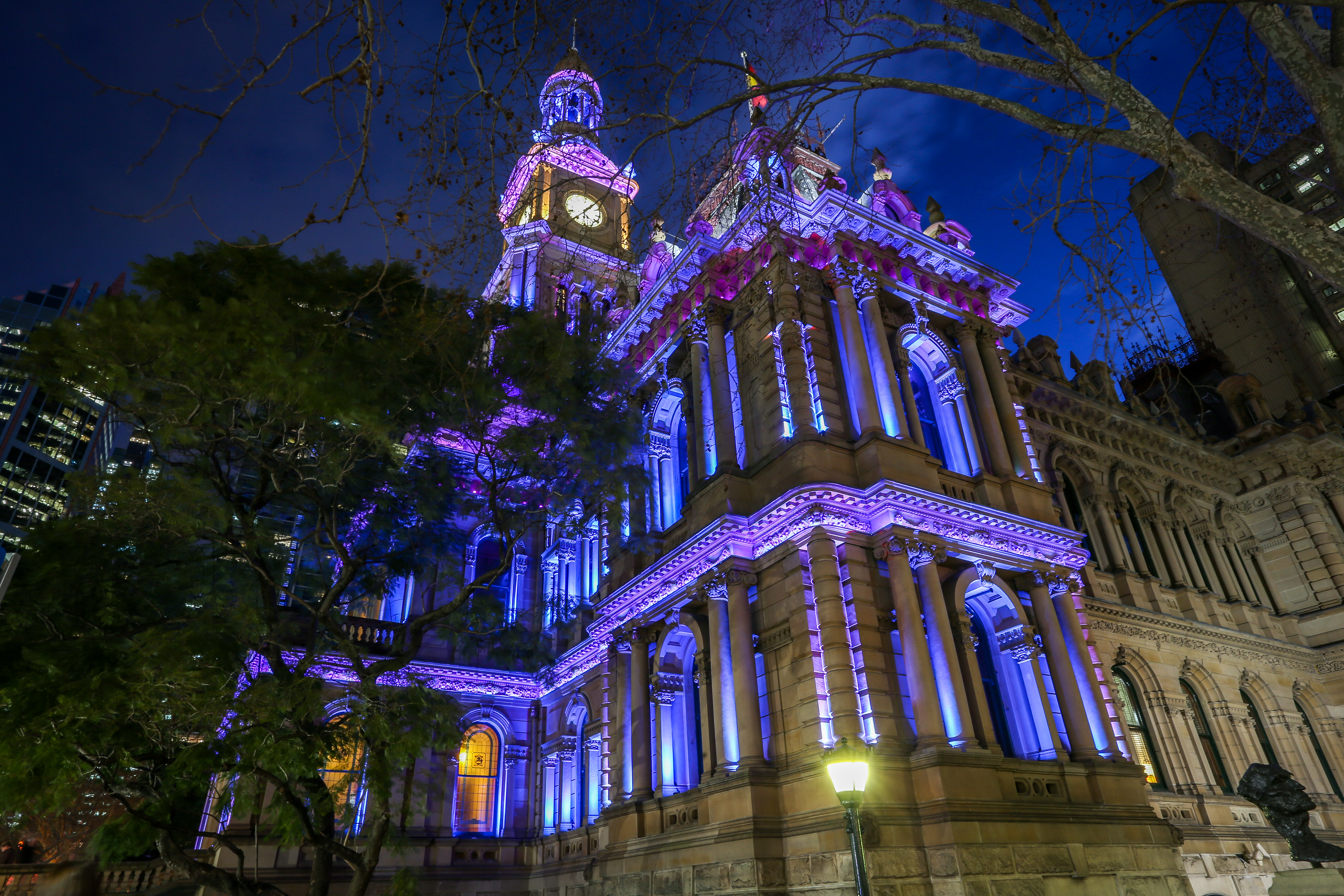 Town Hall lights up purple on Wear it Purple Day in support of young LGBTIQA+ people. Image: Katherine Griffiths