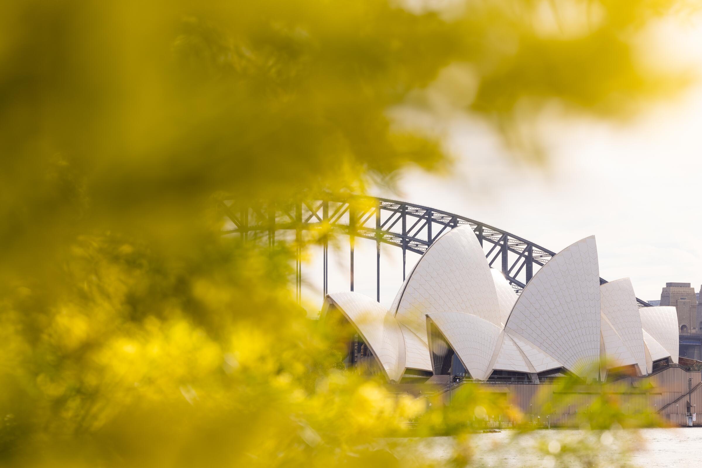 Sydney Opera House. Image: Chris Southwood/City of Sydney