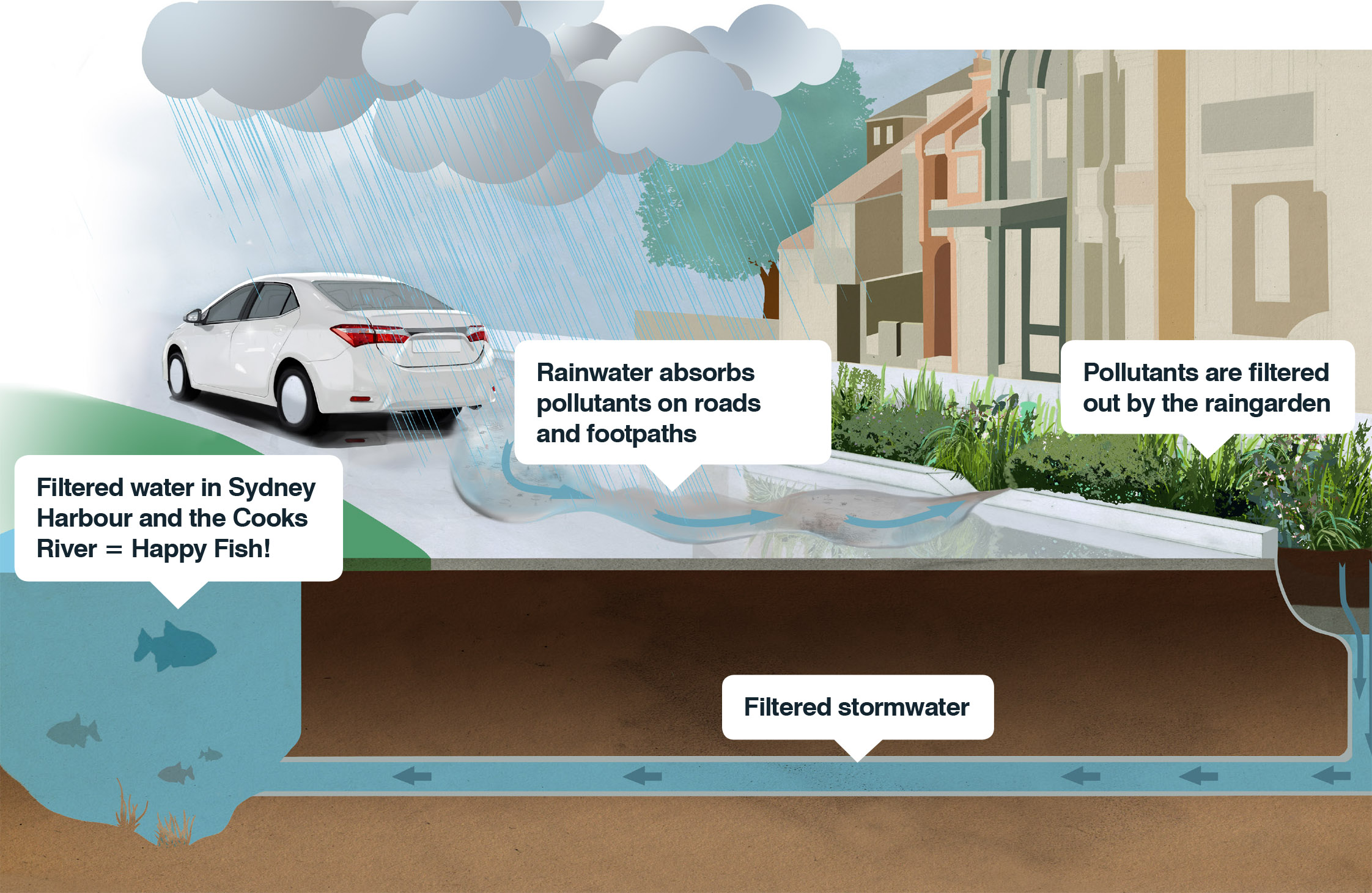 How raingardens work.