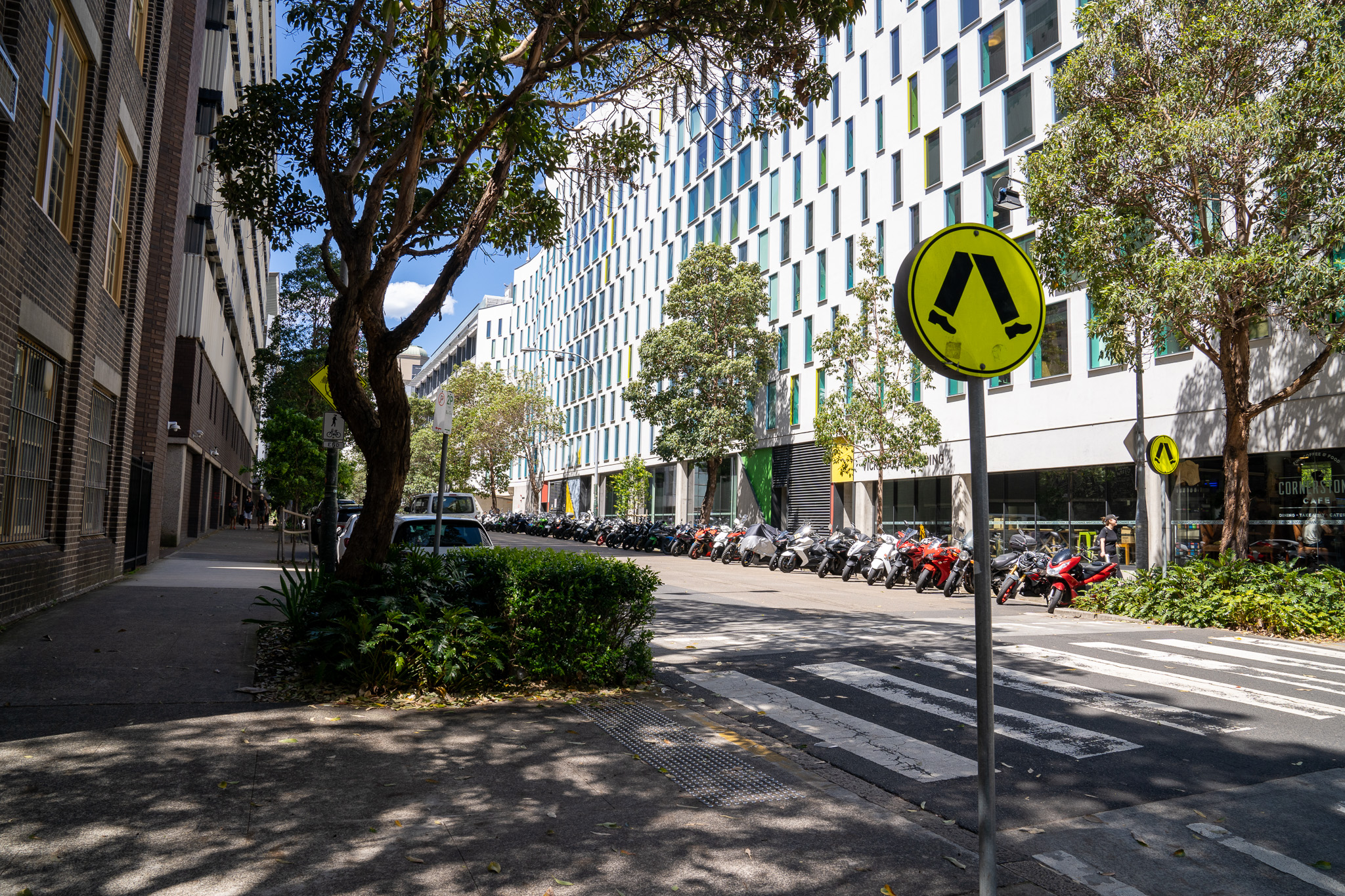 Jones Street, Ultimo. Photo: Abril Felman / City of Sydney