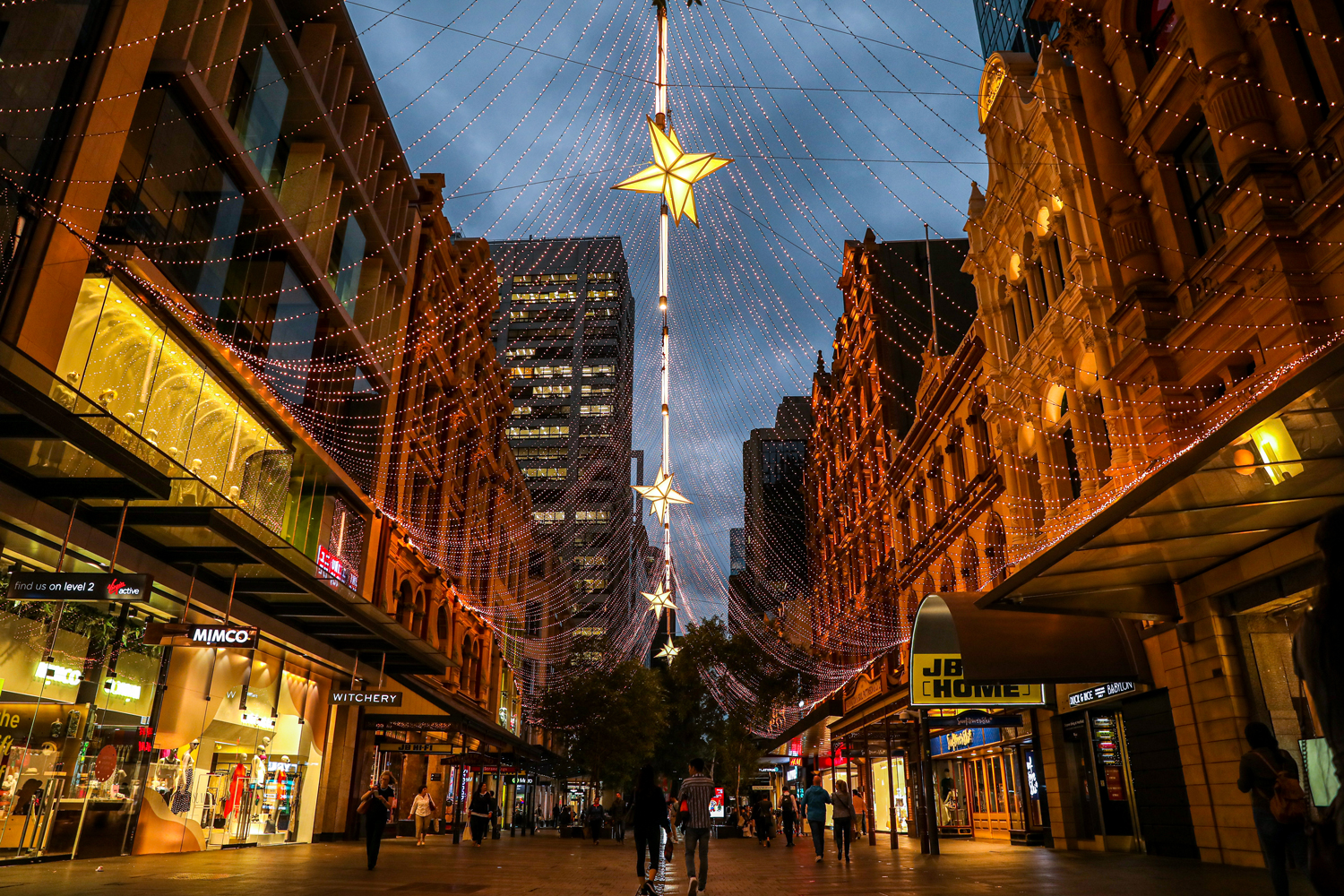 Canopy of Light