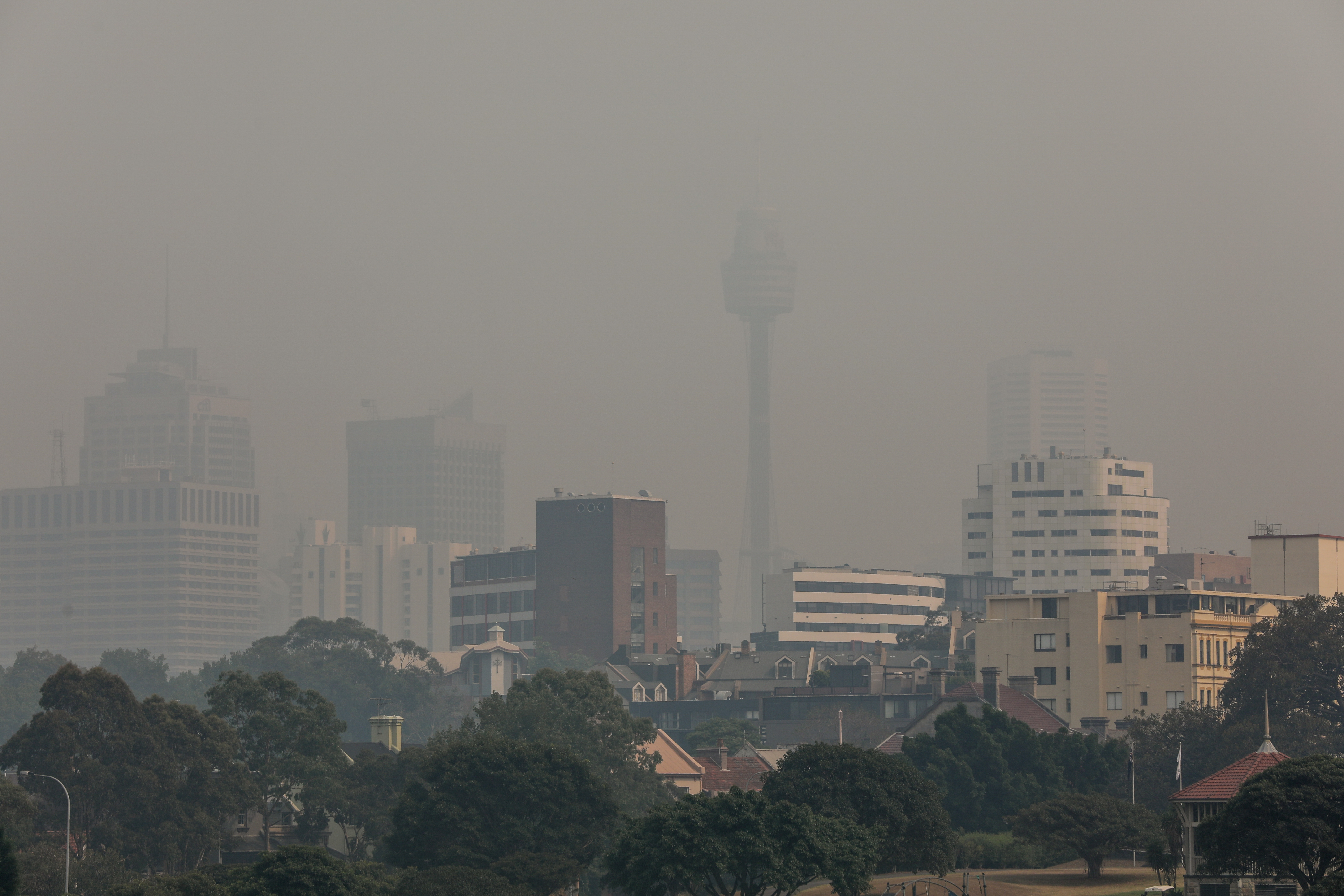 Moore Park covered in bushfire smoke in 2019. The air quality reached hazardous levels in some suburbs.  Image credit: City of Sydney / Katherine Griffiths 