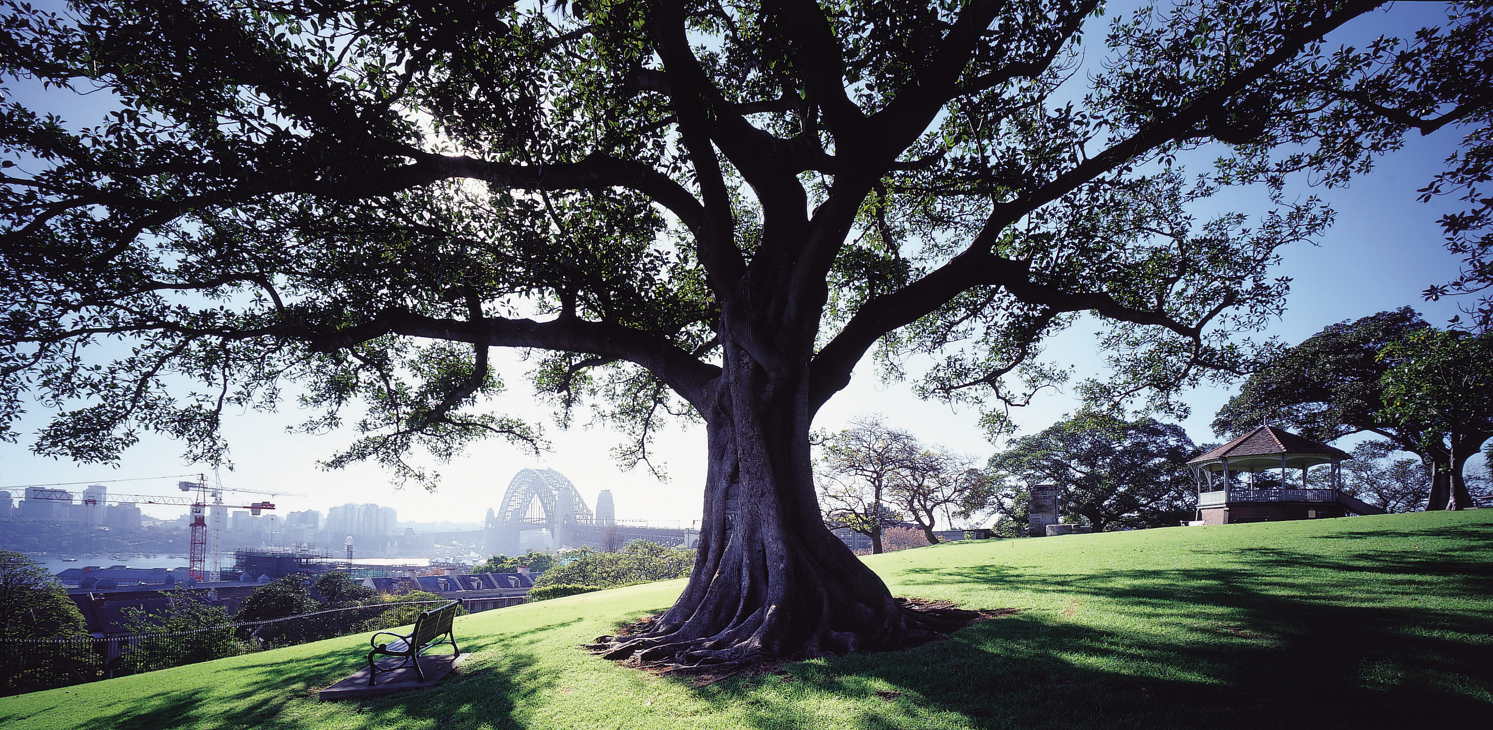 A popular spot with locals, workers and visitors, Observatory Hill Park offers sweeping, panoramic views of Sydney Harbour and the Harbour Bridge for free.