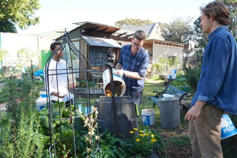 Camdenville Community Garden in Newtown takes Kua coffee grounds for composting. Photo: Bailey Chappel / Kua