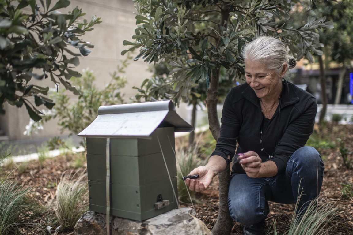 An artist from the Dirt Witches puts in the finishing touches at Barlow Street Forest