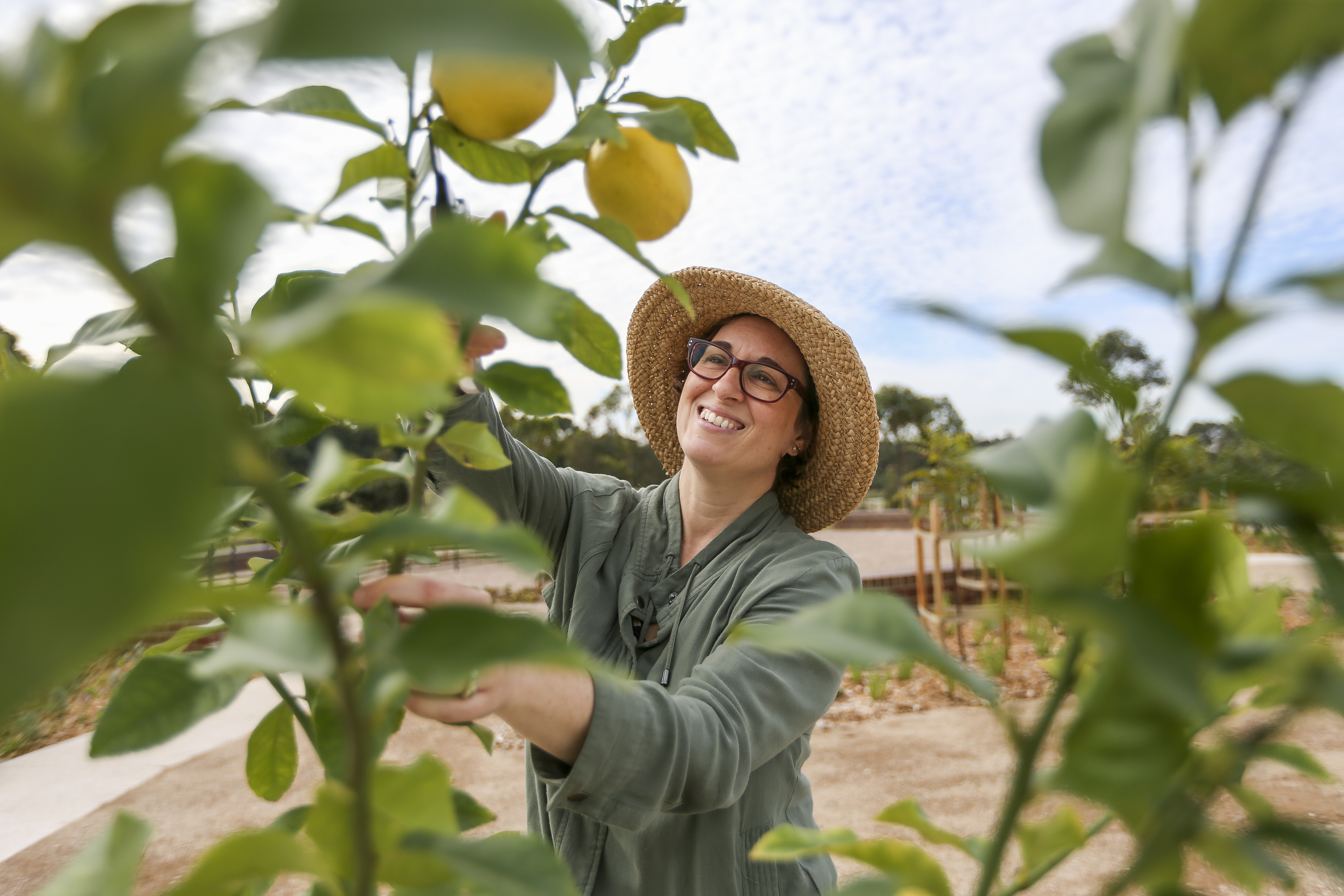 Sydney Park hosts Sydney City Farm.