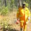 Aboriginal wearing a cap, sunglasses and bright yellow safety clothing - jacket, long pants, and gloves - walking through bush in the NT, holding a device to light fires. Small fire in background.