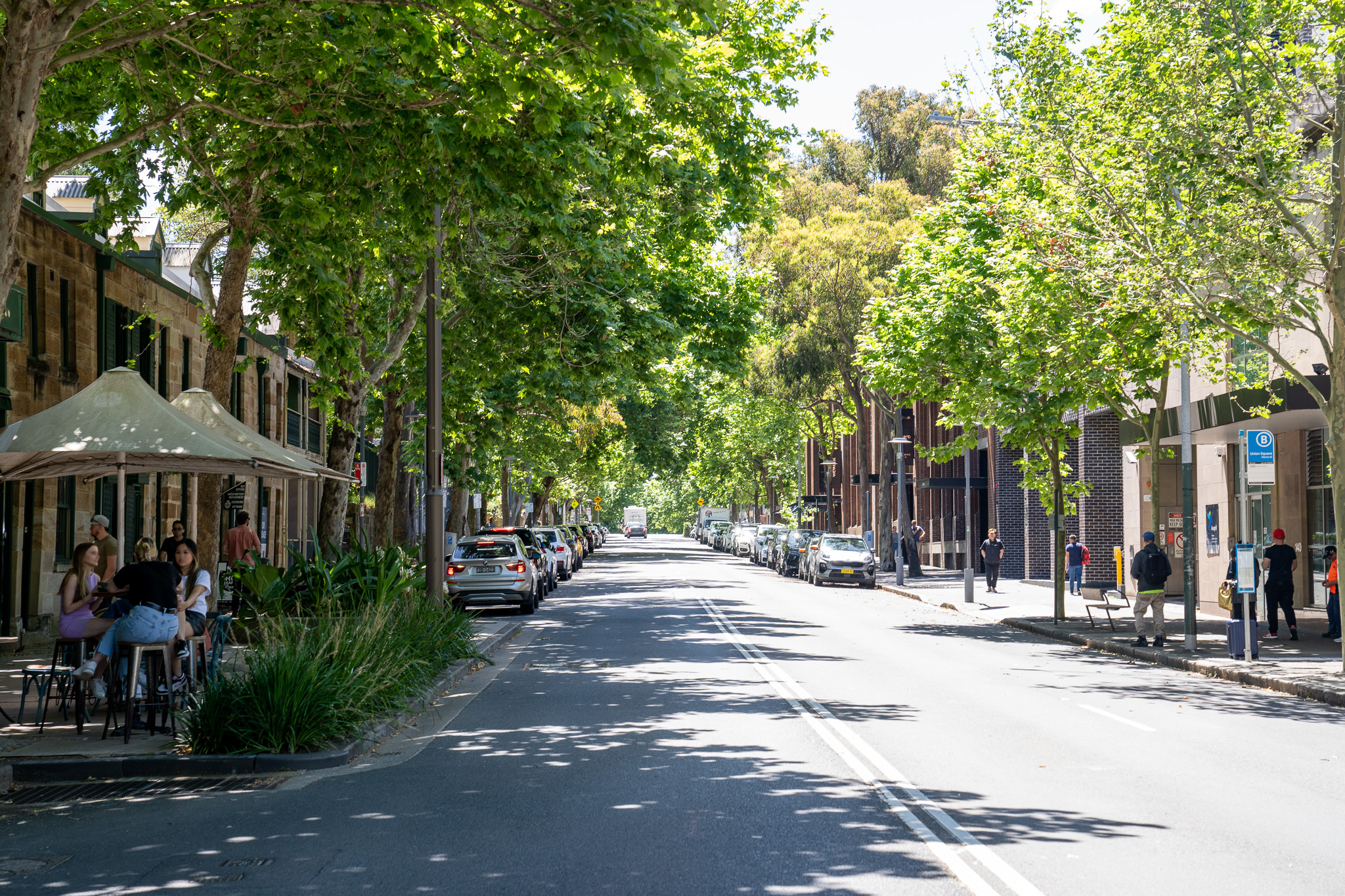 Harris Street, Pyrmont. Photo: Abril Felman / City of Sydney