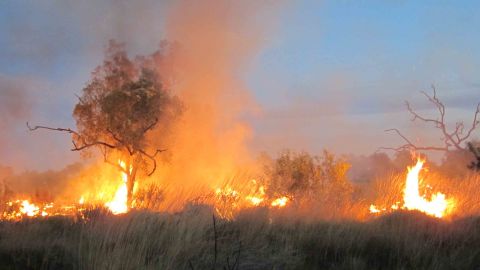 Fire on savanna region of the Northern Territory