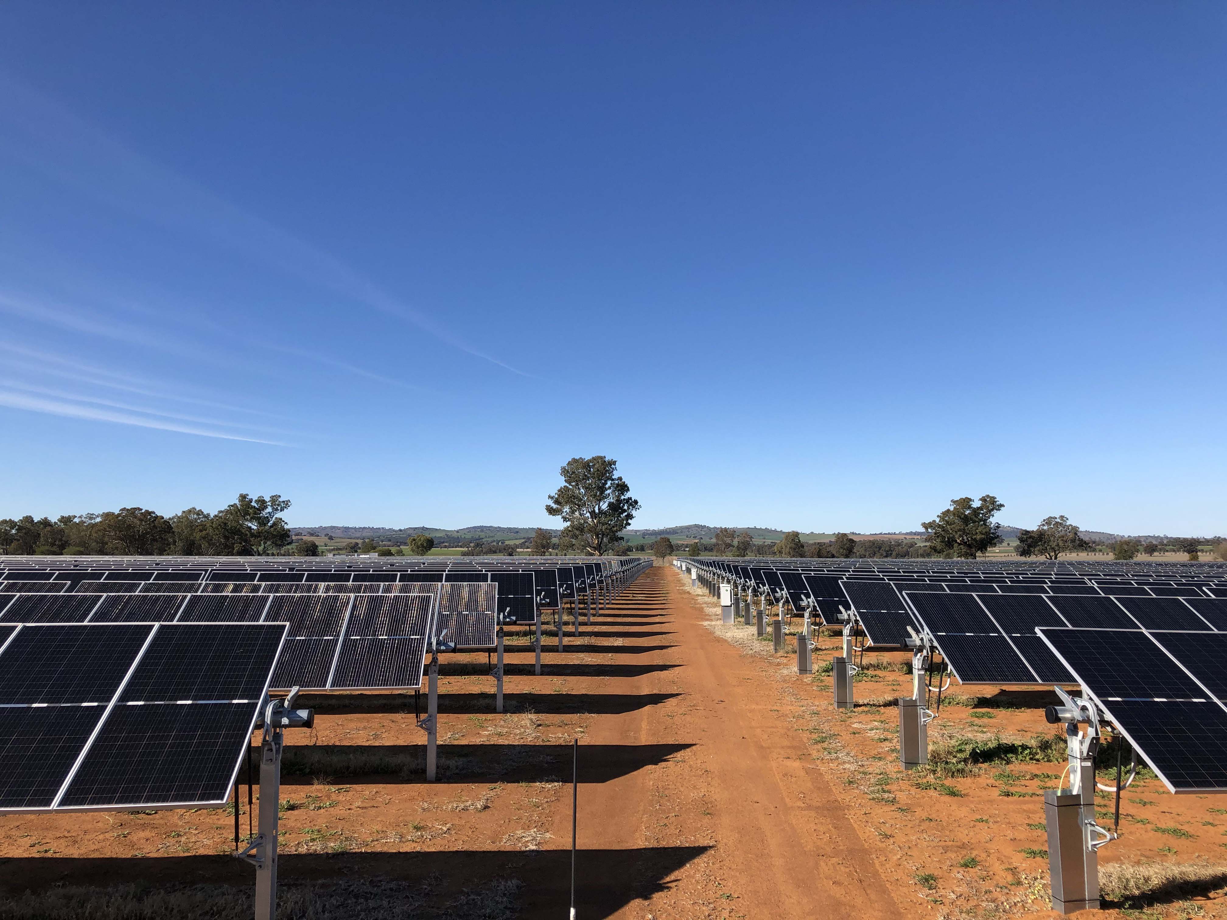 Bomen solar farm