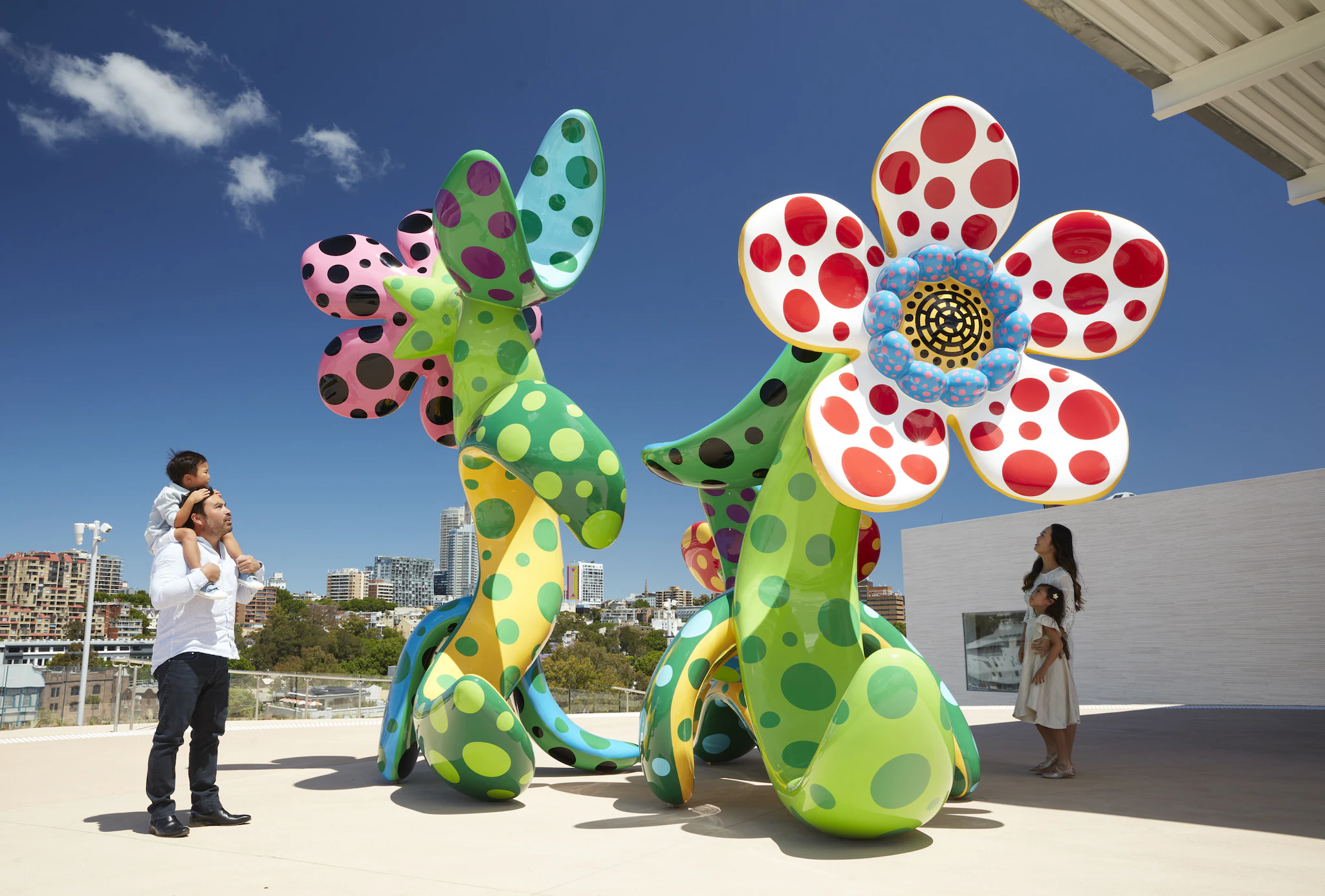 Yayoi Kusama 'Flowers that Bloom in the Cosmos' 2022, artwork © Yayoi Kusama, photo © Art Gallery of New South Wales, Zan Wimberley