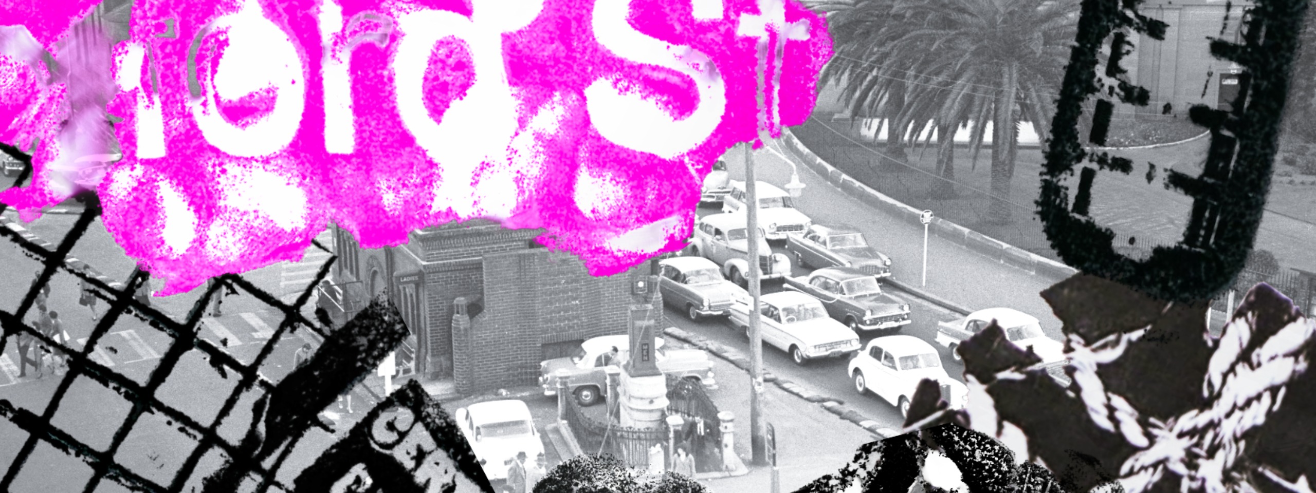 Texture walk at Taylor Square