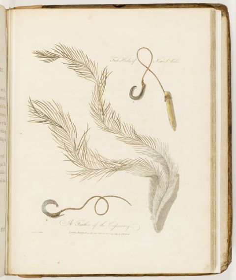 Fish hooks of NSW, detail from plate in John White’s Journal of a Voyage to New South Wales, 1790. Image: Mitchell Library, State Library of NSW (MRB/ Q991/ 2A2)