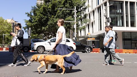 Person with guide dog crossing the road in Sydney CBD