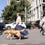 Person with guide dog crossing the road in Sydney CBD