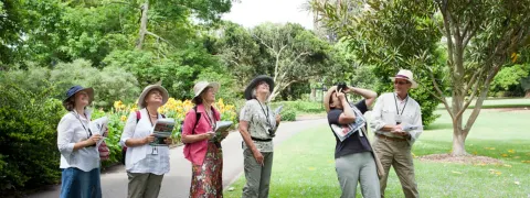 1.5 hour guided walking tour of Australia&#39;s oldest botanic garden