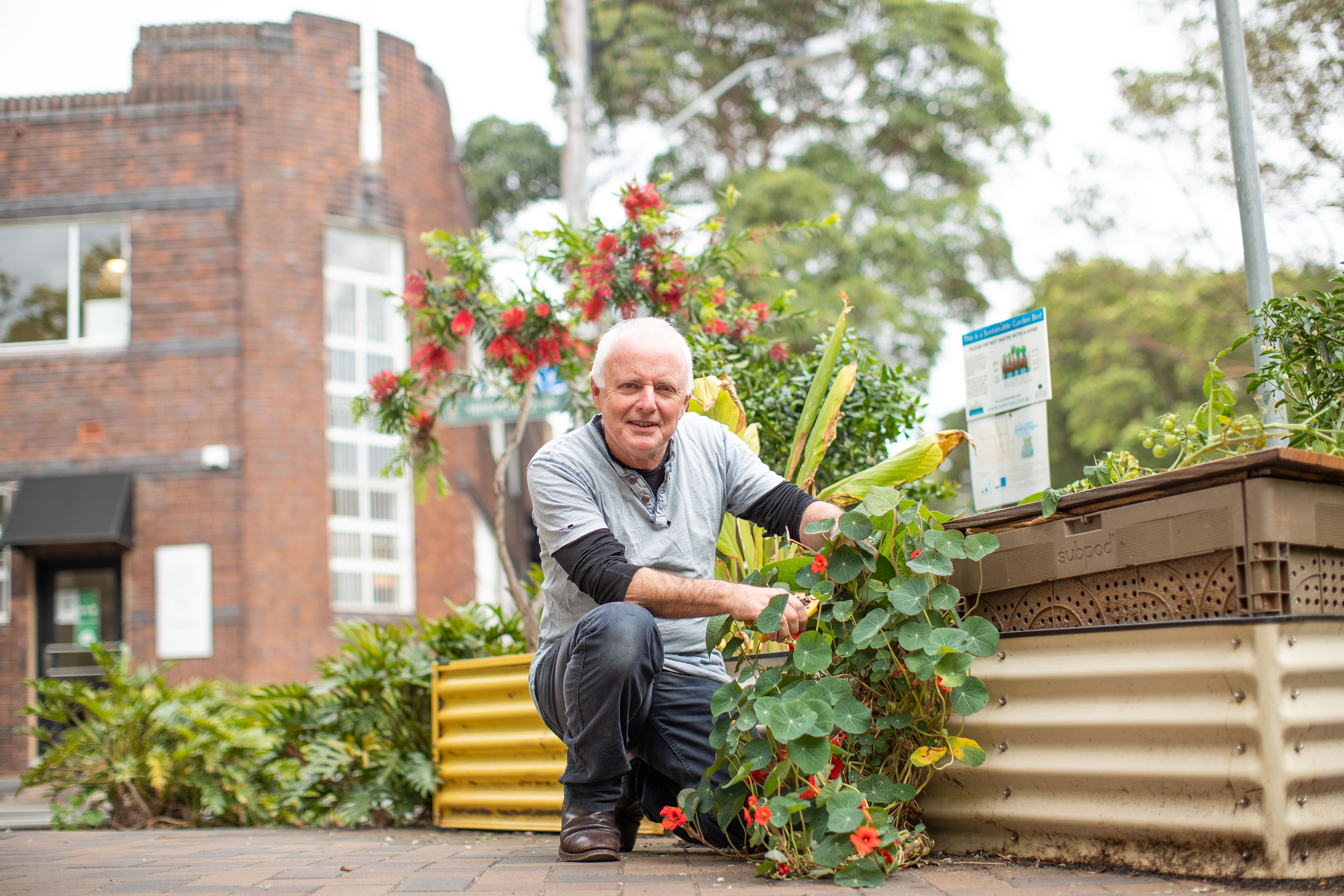 Michael Mobbs said the community garden in Chippendale has transformed how neighbours interact. Credit: Mark Metcalfe