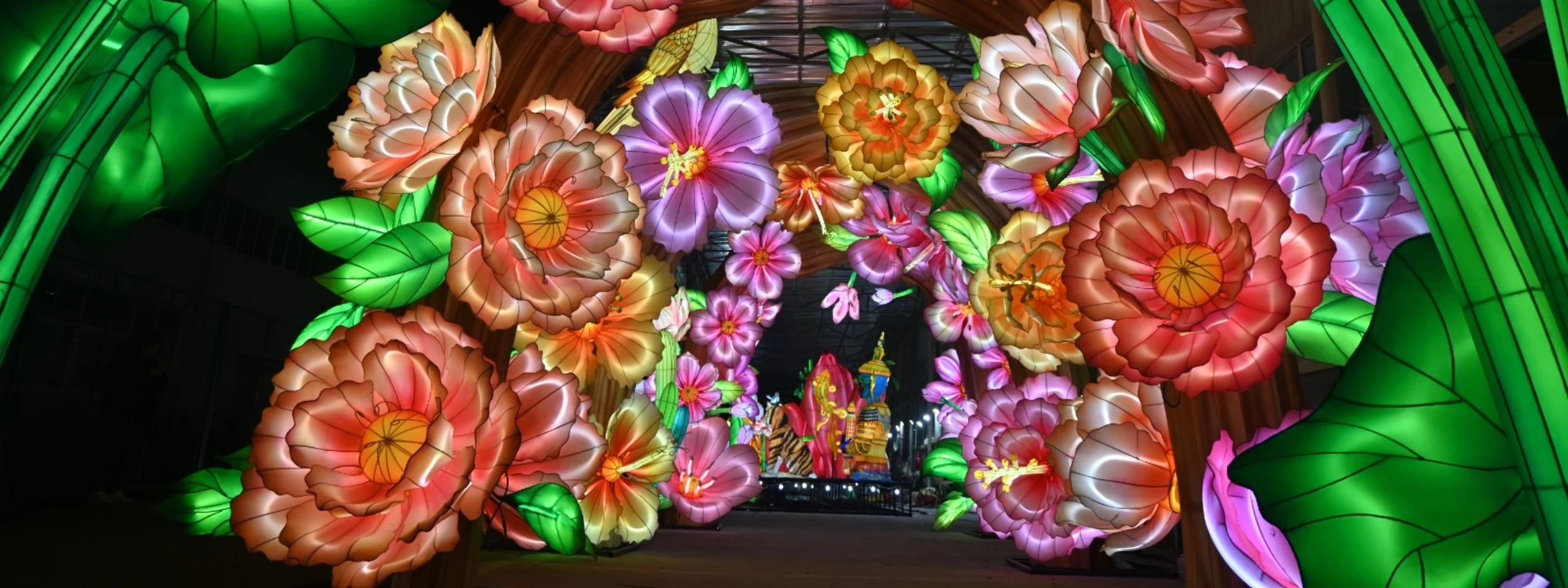 Flowers of Asia installation lights up Dixon Street during Asia Live