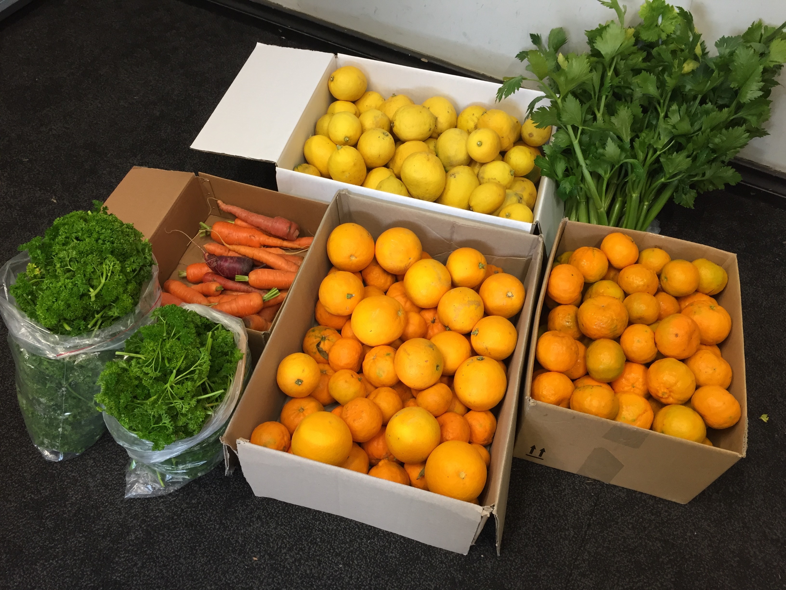 Sydney City Farm donation to OzHarvest.