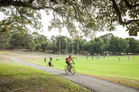 Green exercise is good for the body and the brain