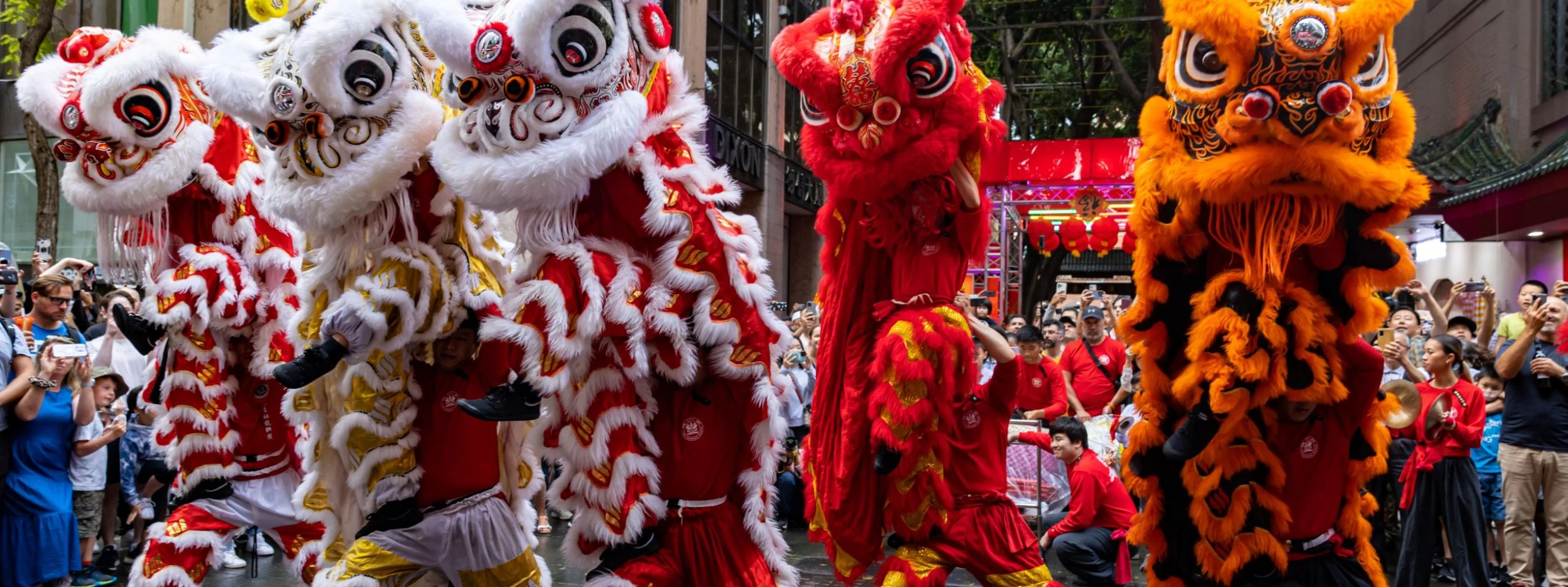 Lion and Dragon Dance Workshops