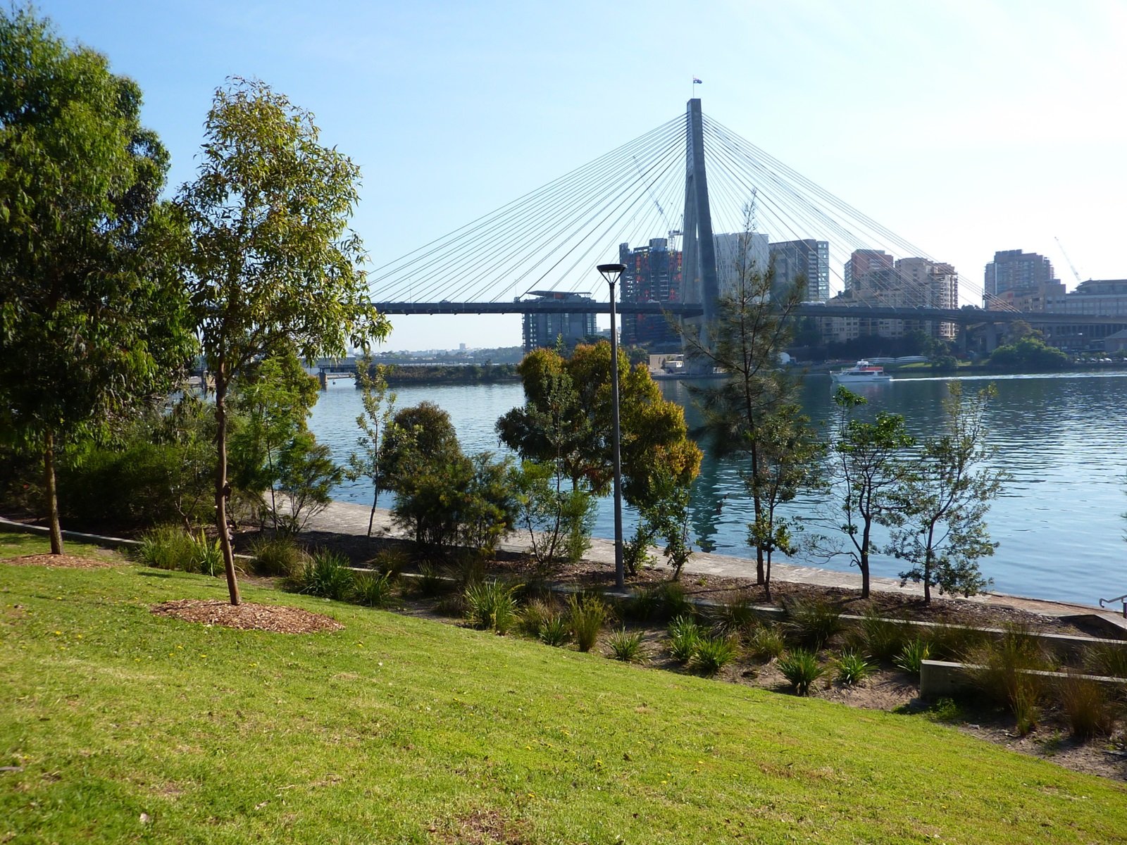 Blackwattle Bay Park