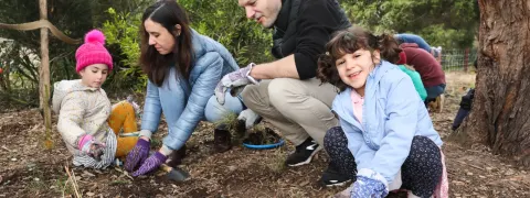Help grow native plants at Sydney Park on National Tree Day