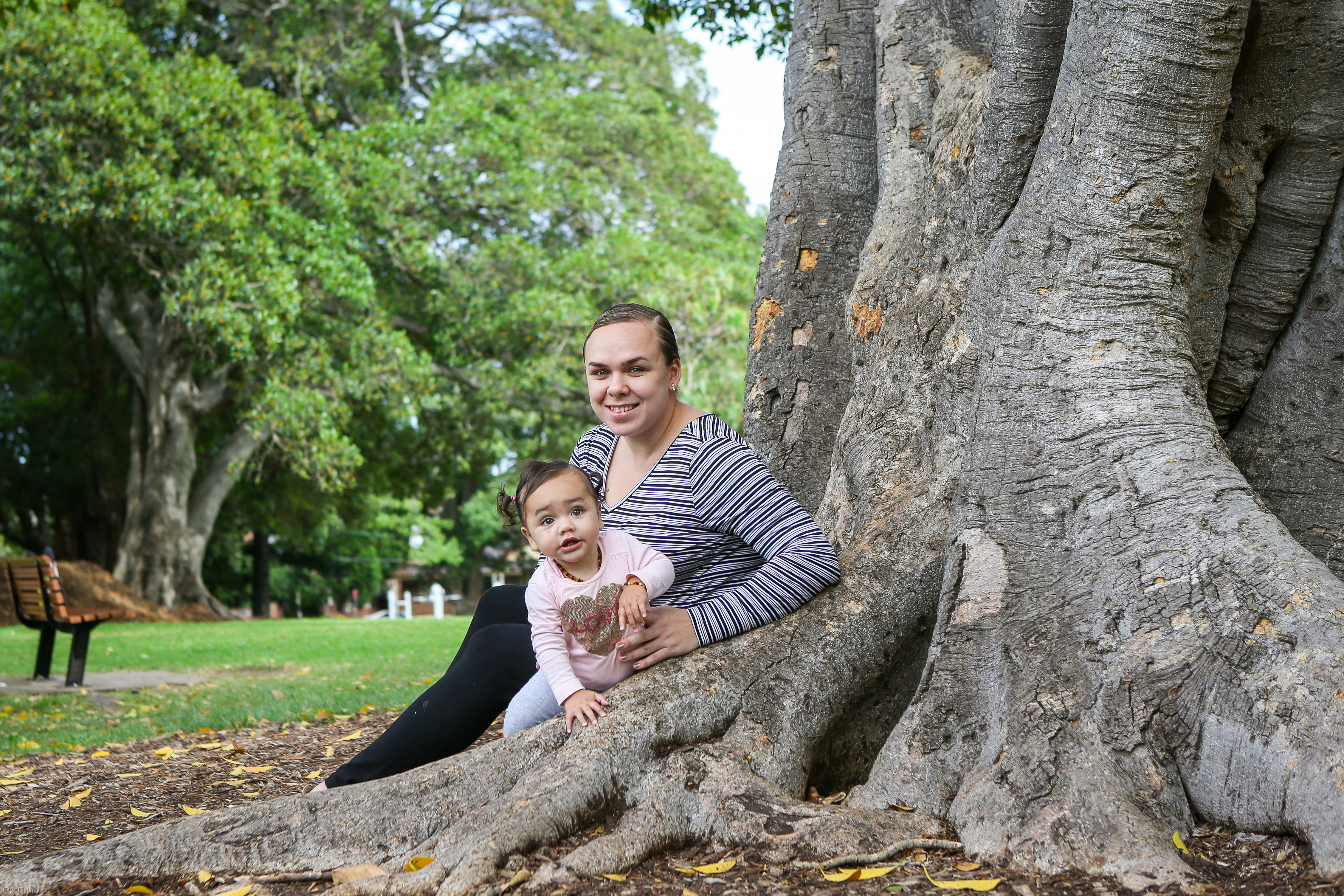 Our local area has more than 14,000 park trees.